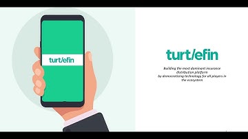 TURTLEFIN OneAPI