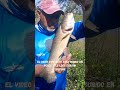 NUNCA ME PASO ALGO ASI !!!!  Encontre el nido de las tarariras en una pesca y aventura