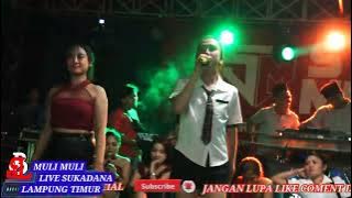 SYILA MUSIK TERBARU//SPEISAL MULI MULI CANTIK NYA SUKADANA LAMPUNG TIMUR x EMBI PUS2 ft Vj EKA 2024