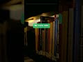 📚 Your Library Card Replaces $200 in Subscriptions (Here’s How)