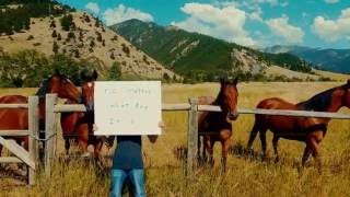 Barbed Wire (lyric video) – Parsonsfield chords