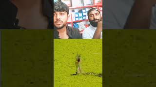 original face viral video 🤣 #reels #viral #duet #viralvideo