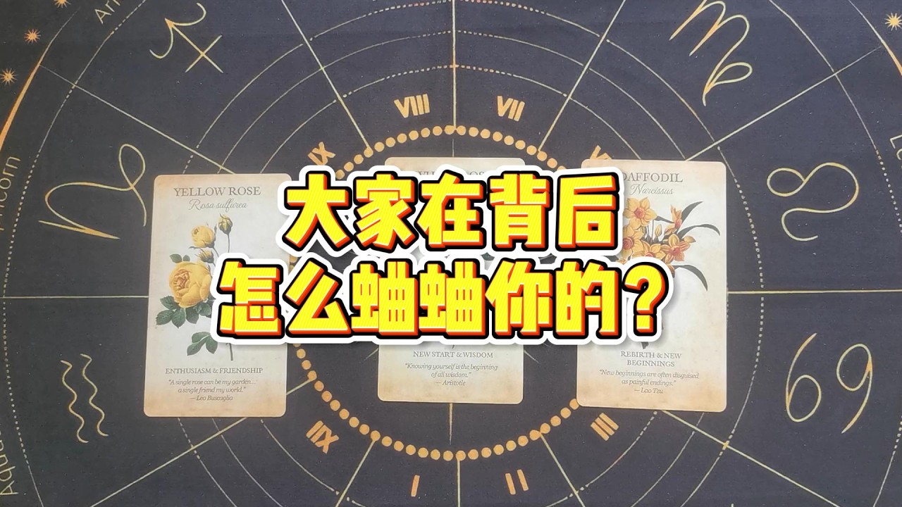 【大众占卜】大家在背后怎么蛐蛐你的？