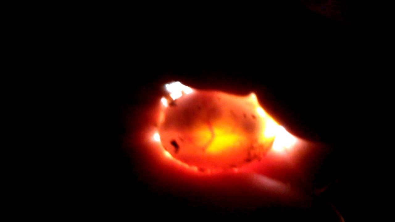Candling A Turtle Egg YouTube
