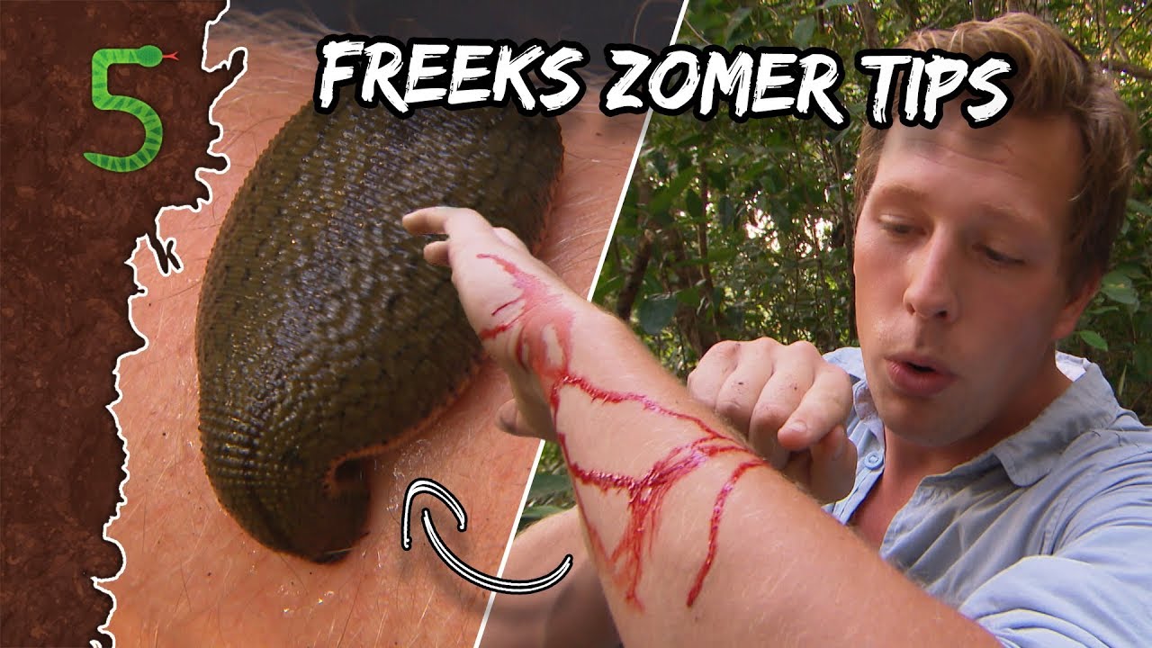Freeks 5 Hoe overleeft Freek de zomer! YouTube Freeks 5 Hoe overleeft Freek de zomer! YouTube