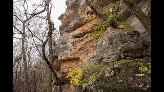 Открываем Белочи. Часть II. 2 кадра 21.11.2017