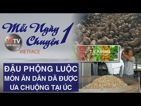 Video: Món Nạc Ngon: Hạt đậu