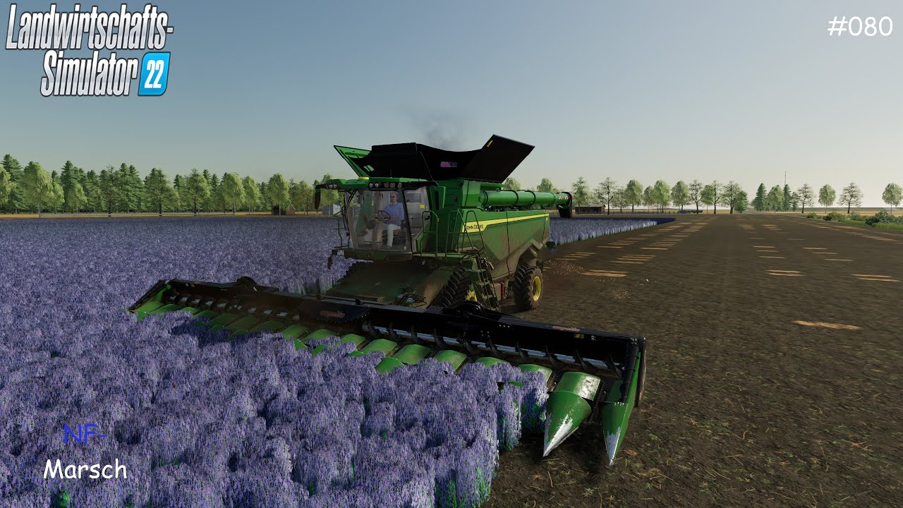 LS22|NF-MARSCH 4-FACH|Luzerne ernten und die Sonnenblumen ernte beenden|