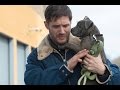 Сильная мотивация от Тома Харди [HD 2015]