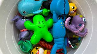 discover ocean animal fun facts names water animal toys