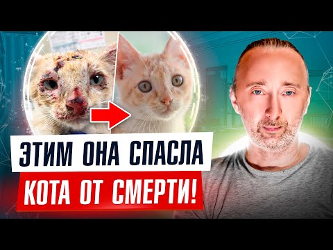 Лучший корм для кошек и собак, который спасёт и продлит жизнь, когда ветеринары не могут помочь!