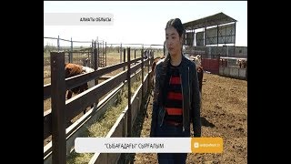 Алматы облысында 22 жастағы бойжеткен өз шаруашылығын бастап кетті