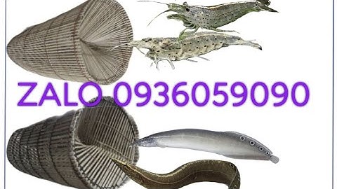 Bán lợp tép. Bán lợp cá chạch. Bán lợp cá bóng dừa. Bán bẫy tép. Bán bẫy cá chạch.