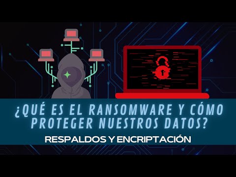 Video: Cómo obtener una conexión gratuita a Internet: 9 pasos (con imágenes)