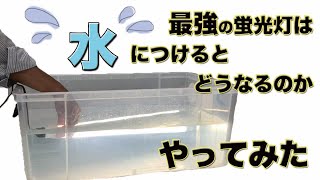 防水性能IP65は水につけても本当に大丈夫なのか？！やってみた