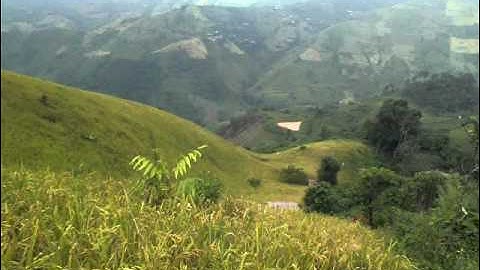 Dab Neeg Mus Tso Qaib Tom Teb Pom Poj Ntxoog Los Tso Qaib Thiab