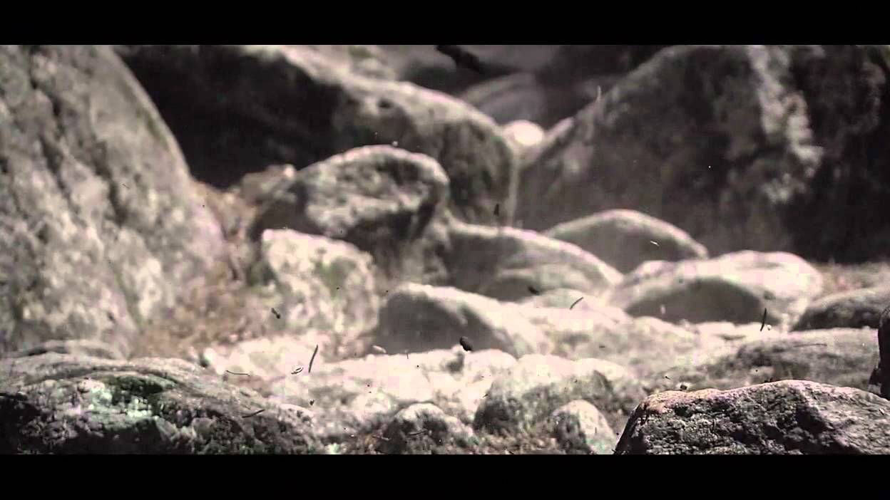 Incantatio. Team Argon.