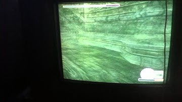 Shadow of the colossus funny glitch