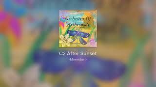 ⊹₊˚‧✿ After Sunset - Moondust ✿‧˚₊⊹