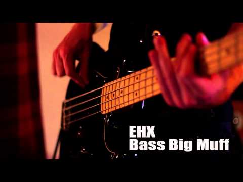 bass-distortion-shootout