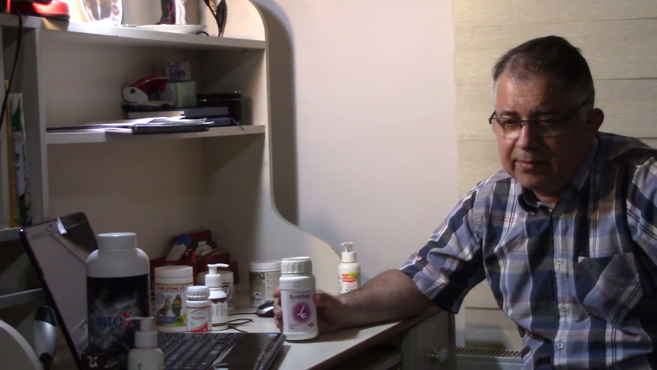 Muhabbet Kuşlarında Kürler ve Tedaviler