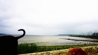 Timelaps Fahrensodde Flensburg Sony Alpha 6100