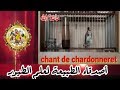 تغريد ويداني روعة ماشاء لله chant de chardonneret widani