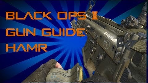 BO2 Gun Guide - HAMR