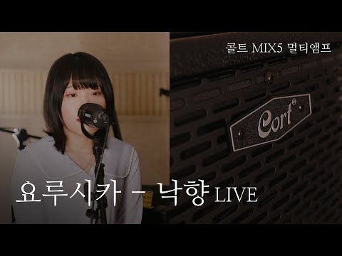 요루시카 ヨルシカ - 낙향 live cover | 콜트 MIX5 멀티앰프