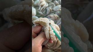 Pull out the squid‘s teeth. #food #seafood #seafoodprep #octopusdeploy #fishing #octopus #eating