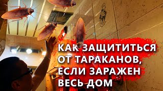 видео: Показываем квартиру в которой стоит защита от тараканов, когда заражен весь дом. картинка: Показываем квартиру в которой стоит защита от тараканов, когда заражен весь дом.