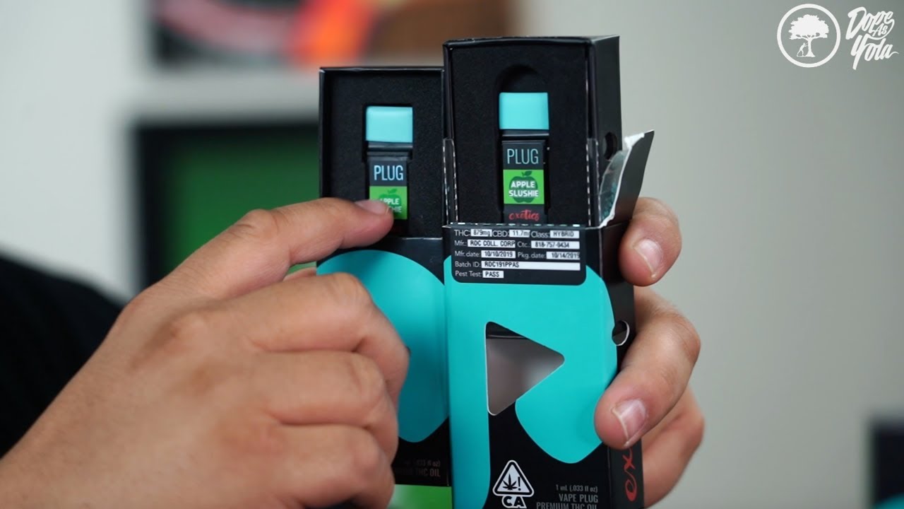 The Fake Id Plug