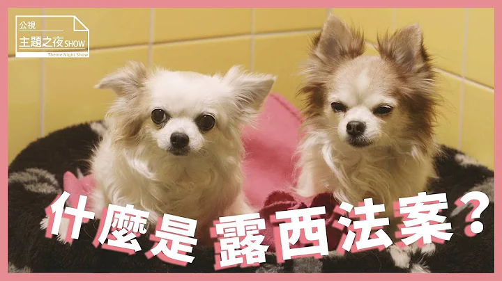 露西法案是什么？领养代替购买，台湾该立法禁止猫狗买卖吗？｜SHOW你知｜【公视主题之夜SHOW】 - 天天要闻