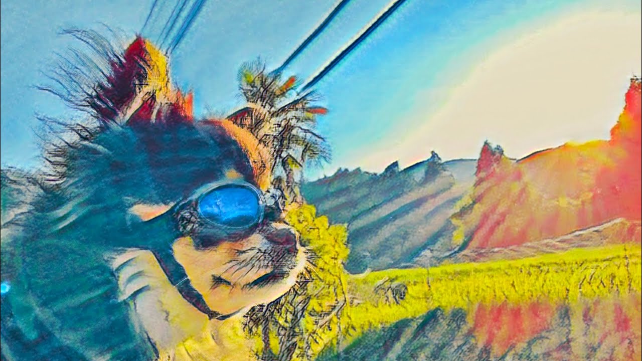  VR360 1 Mt Myouken The Dog That Rides A Motorcycle Music By 