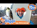 Блиппи изучает птиц🐦 | Блиппи на русском