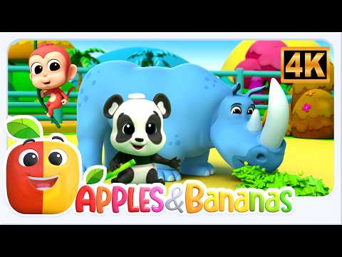 Zoo Song | We’re Going to the Zoo | Animal Songs for Kids
