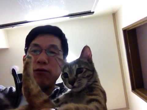 셀카
