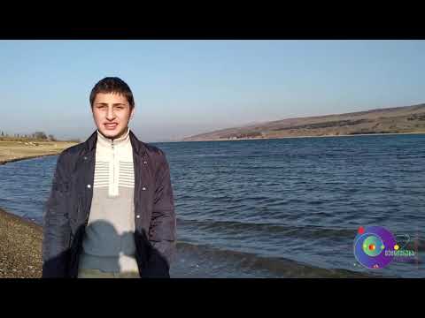 ლეონარდო და ვინჩი - მწვანე საჯაროობა