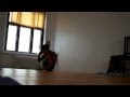R. Sharath Jois Dwipada Demonstration 