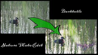 Nature Photo Edit In Darktable screenshot 3