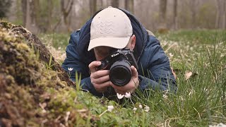 Nature Flower Photography - Do this for Better Shots