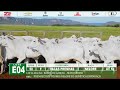 LOTE E04
