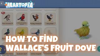 This Bird Is SUPER RARE?! - How To Find Wallace’s Fruit Dove In Heartopia screenshot 1