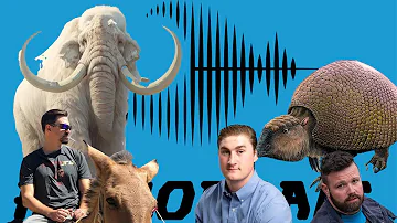 Audiocraic Prehistoric Megafauna Episode 1 (@TheWontonDon  + Dirty Water Don)