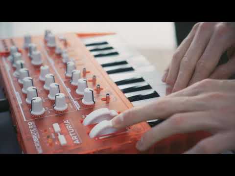 AMBIENCE FOR GAMMA CANARIS N Malo Moray His Inflatable Knee 