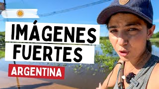 ⚠Una ciudad SUMERGIDA en Argentina Gualeguaychú