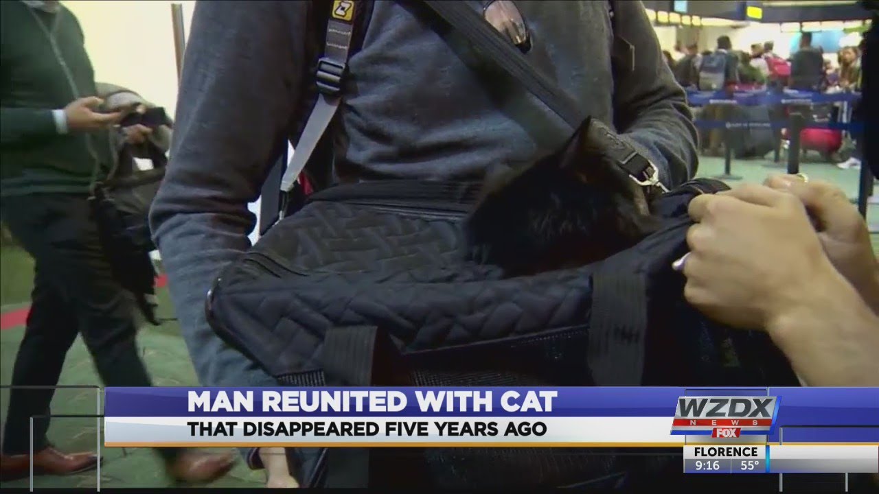 Cat reunited with owner after 5 years - YouTube