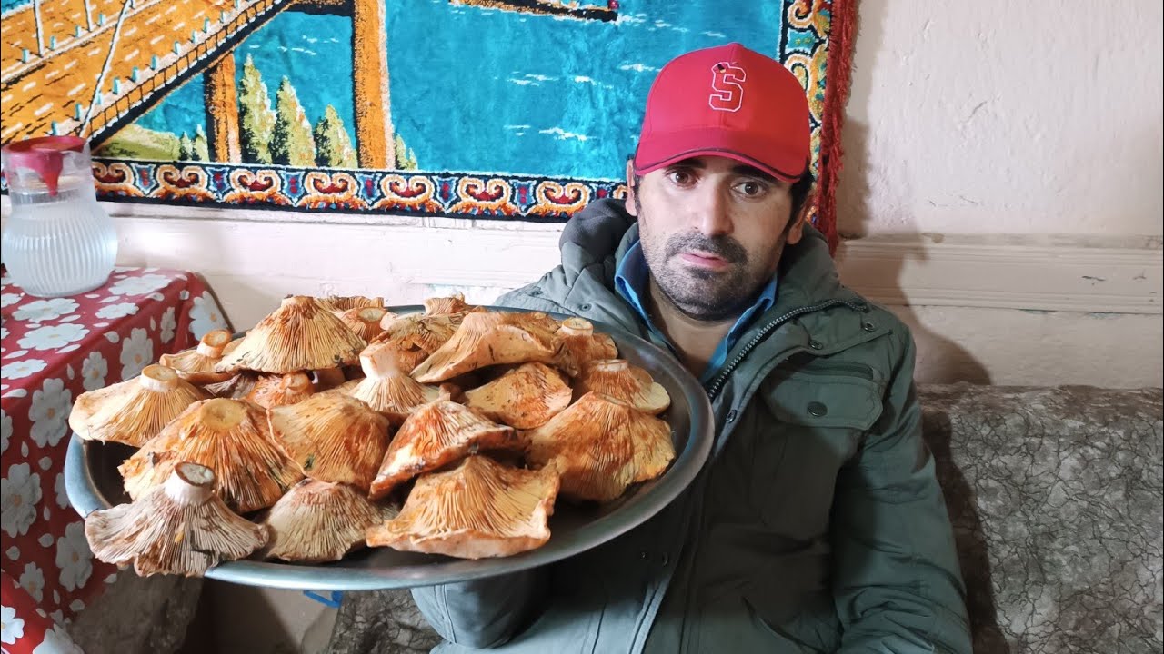 KIRMIZI ŞAPKA ÇILDIRDI  KANLICA 🍄