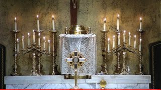 12:30 pm Holy Mass - The Solemnity of the Most Holy Body and Blood of Christ