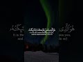 يأيها الذين ءامنوا اذكروا الله ذكرا كثيرا و سبحوه بكرة و أصيلا القارئ ياسر الدوسري يأيها الذين ءامنوا اذكروا الله ذكرا كثيرا و سبحوه بكرة و أصيلا القارئ ياسر الدوسري